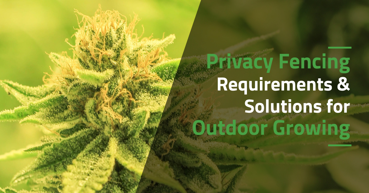 Privacy Fencing Requirements & Solutions for Outdoor Growing