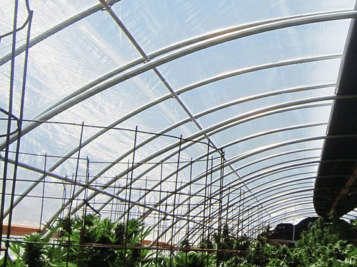 Plastic sheeting covering a greenhouse.