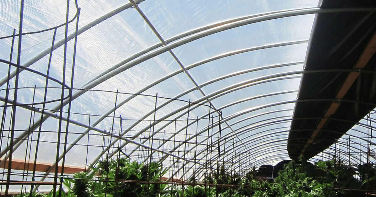 Plastic sheeting covering a greenhouse.