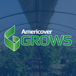 Americover Grows Blogs
