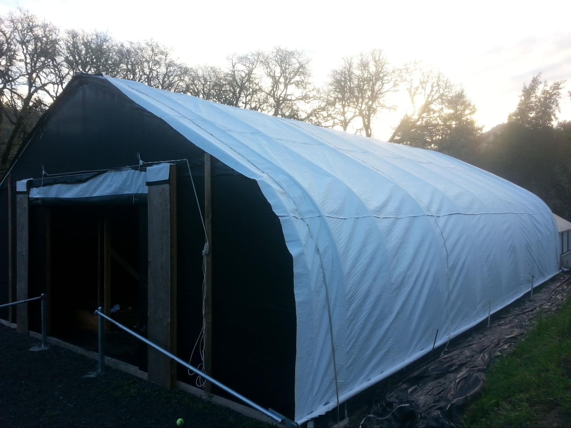 Does BOLD Outperform Panda Plastic Sheeting in a Light Deprivation Greenhouse?