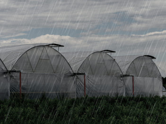 What is Anti-Condensate Greenhouse Plastic Sheeting?