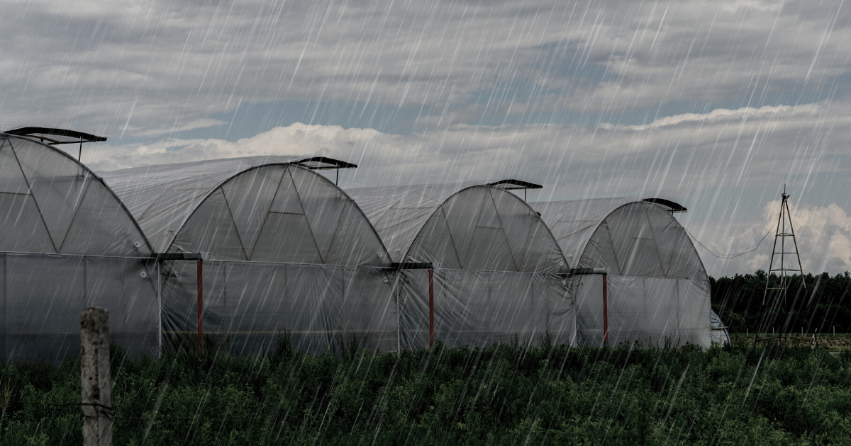 What is Anti-Condensate Greenhouse Plastic Sheeting?