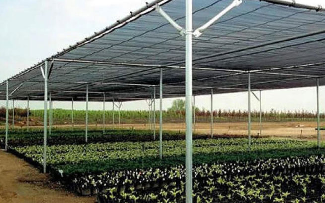 Shade cloth for greenhouses and nurseries
